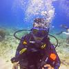 Picture taken during the dive