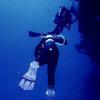 Picture taken during the dive