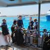 Picture taken during the dive