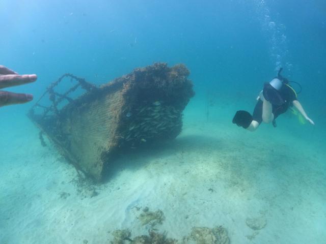 Samana Diving - Dive Center in Dominican Republic