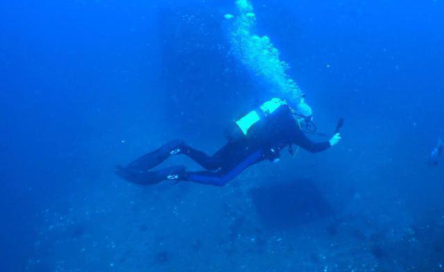 Diving in Australie, Mooloolaba - By Nikki Leslie
