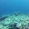 Picture taken during the dive