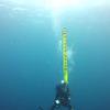 Picture taken during the dive