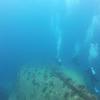 Picture taken during the dive