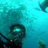 Picture taken during the dive