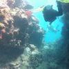 Picture taken during the dive
