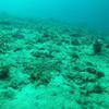 Picture taken during the dive