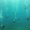 Picture taken during the dive
