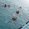 Picture taken during the dive