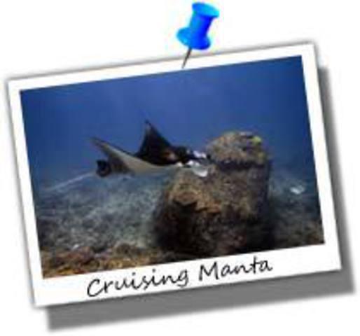 Joe's Gone Diving - Dive Center in Indonesia