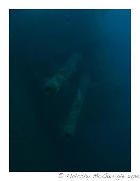 Dive! Tutukaka - Dive Center in New Zealand