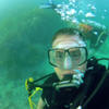 Picture taken during the dive