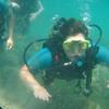 Picture taken during the dive