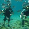 Picture taken during the dive