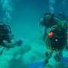 Picture taken during the dive