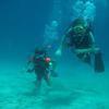 Picture taken during the dive