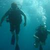 Picture taken during the dive