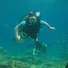 Picture taken during the dive